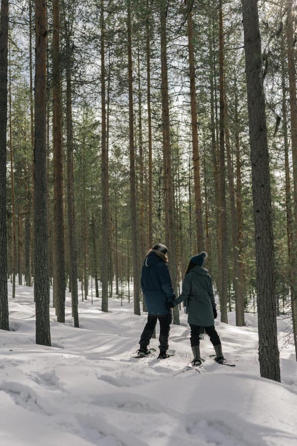 Lakelodge Kiehinen & Igloos Rovaniemi Ngoại thất bức ảnh